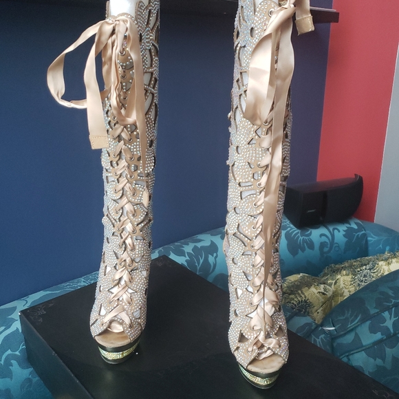 SOLD Pleaser Day & Night heels - Picture 10 of 12